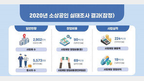 코로나에 작년 소상공인 87만명 줄었다…연매출액 1100만원 감소