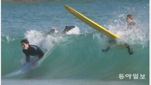 ‘이한치한’의 질주… 부산·양양의 겨울 바다 즐기는 서퍼들 [청계천 옆 사진관]