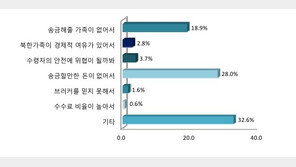 탈북민 올해 대북송금 10명 중 2명뿐…1회 평균 209만원