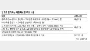 음주-뺑소니 운전자, 최대 1억7000만원 사고부담금 낸다