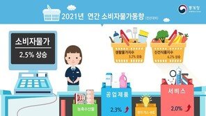 새해에도 물가 고공행진…실손보험 16% 뛰고 전기·가스요금 인상