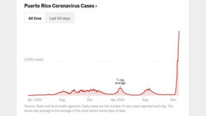 접종률 77% 푸에르토리코, 3주만에 확진자 74배 폭증…왜?