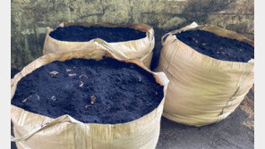 버리는 데 수백억 드는 커피찌꺼기, 잘 쓰면 ‘친환경 자원’ 된다