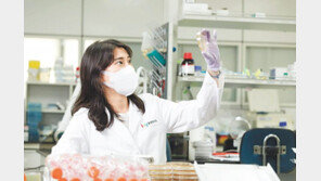 역대 최고치… 코로나19 정면돌파 