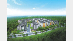 제주 부동산 시장 상승세… 국제학교 수요 품을 친환경 단지 주목