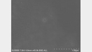 또… 佛서 새 변이, 백신에 강하고 전파력도 셀듯