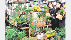 꽃말 좋은 식물 사볼까