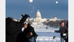 美워싱턴 폭설… 공공기관-학교 폐쇄