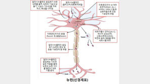 파킨슨병 발병 연결고리 규명…퇴행성 뇌질환 극복 청신호