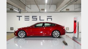 테슬라 주가도 씽씽… ‘천이백슬라’ 근접