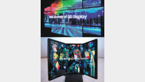 삼성디스플레이 ‘QD 디스플레이’ 첫 공개… OLED시장 본격 진출