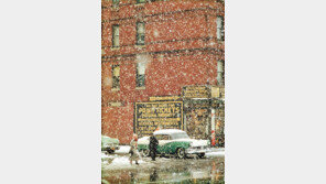 ‘거리 사진’ 대가가 담은 창문 너머 도시의 삶