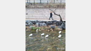 [고양이 눈]이곳이 좋아