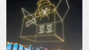 中여성, 반려견 생일에 드론 520대 띄워…“사람이 개보다 못해”