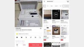 “톰 브라운 또 일 낼줄 알았다”…삼성 갤Z플립 한정판 ‘200만원 웃돈’