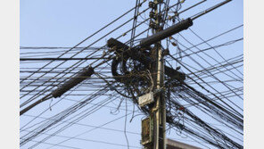 ‘전봇대 감전사’ 유족 “납골함만 끌어안았다…한전 연락 없어”