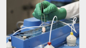 당국 “먹는 치료제, 오미크론 변이에도 효과 있을 것”