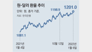 원-달러 환율 18개월만에 1200원 넘어… 코스닥 2.9% 등 亞증시 급락