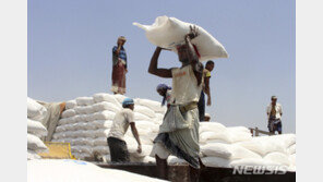 작년 세계식량가격 10년 만에 최고치…지난달에는 소폭 감소