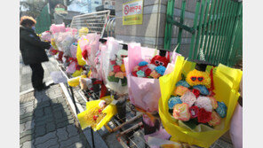 “장미 1단 7만원? 이럴 순 없다”…미친 꽃값에 수상한 낌새