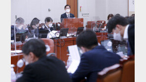 구속·압색때 영장 사본 건네줘야…형사소송법 법사위 소위 통과