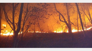 안동 북후면 산불…임야 0.1㏊ 태워
