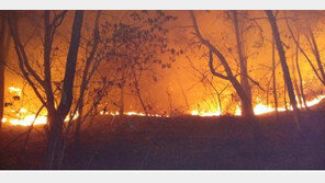 안동 야산 산불 1시간30분 만에 진화…산불 가해자 추적