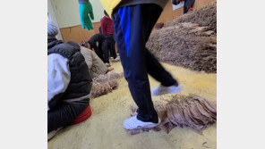 건조오징어를 발로 자근자근…“비위생적”vs“작업신발” 