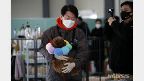 안철수 野 ‘대장주’될까…‘변신’ 윤석열 지지율이 관건
