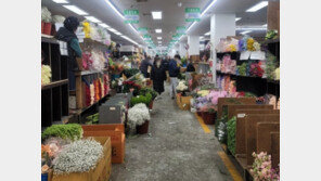 “꽃값이 금값”…치솟는 가격에 상인들 ‘울상’