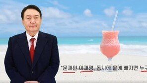 [단독]선관위 “AI윤석열 등 딥페이크 활용 선거운동 가능”