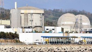 [단독]檢, ‘월성1호기 폐쇄 반대’ 조성진 교수에 명예훼손 ‘무혐의’