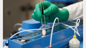 [단독]먹는 코로나 치료제 해외직구? ‘미허가 의약품’ 주의하세요