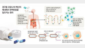 식중독 일으키던 균의 화려한 변신… ‘먹는 코로나19 백신’이 온다 