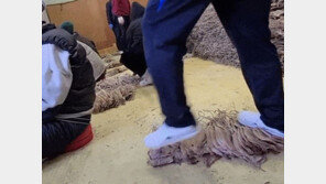 건조오징어 신발로 ‘꾹꾹’…식약처 “법 위반 사항 적발”