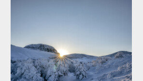 “한라산 입장권 삽니다” 중고거래 사이트서 인기폭발 이유