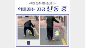 강아지 목줄 올려 공중서 빙빙돌린 80대 견주 찾아…‘소유권 포기’