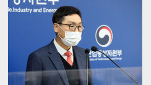 작년 외국인 직접투자 295억달러 역대 최대…전년보다 42% 급증