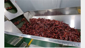 ‘중국산 고춧가루를 국산 100%로’…102억어치 유통 대표 구속영장