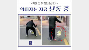 강아지 목줄을 잡아 쥐불놀이 한 견주 찾았다…“학대 아냐” 적반하장