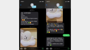 “적당히 마셔…아낀다” 女손님 연락처 알아낸 대리기사의 문자