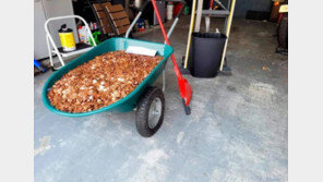 밀린 월급 달랬더니…‘기름 범벅 동전 9만개’ 테러한 美업주