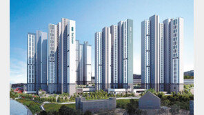 축구장 40개 넓이 구룡공원을 앞마당처럼 