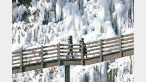얼음산으로 변한 인공폭포