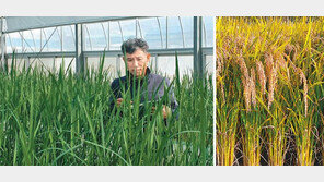 열정으로 개발한 ‘새청무’ 벼, 농가도 소비자도 ‘매료’