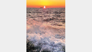 [고양이 눈]희망의 일출