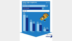 ‘저가매수냐 눈물의 물타기냐’…개미, 카카오 6일간 7700억 샀다
