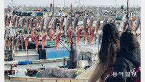 쏨뱅이는 마르고 군침은 고인다