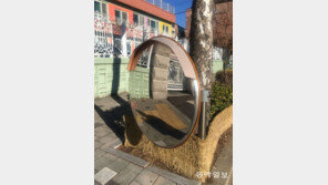 [고양이 눈]고마운 꼬마 볼록거울