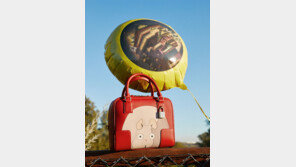 컬래버레이션의 진화[패션 캔버스/박세진]